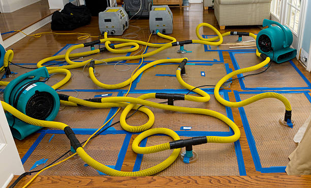 Professional Water Damage Restoration technician working in Orange Cove, CA